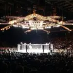 Understanding the UFC Octagon in Mixed Martial Arts
