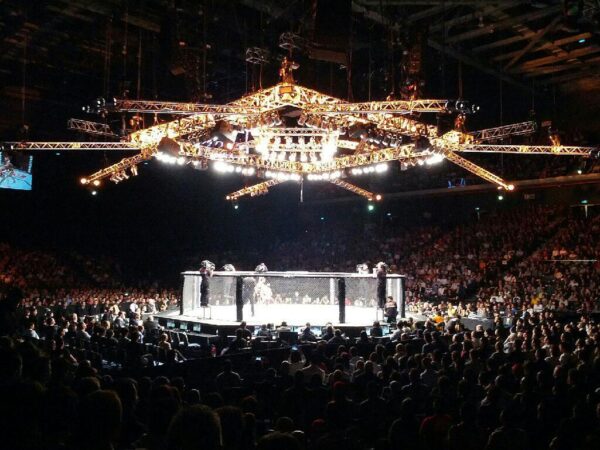 Understanding the UFC Octagon in Mixed Martial Arts