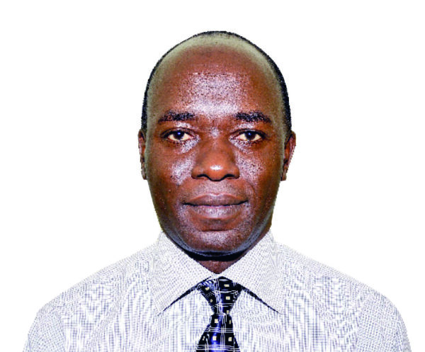 Discovering Uganda: The Pearl of Africa