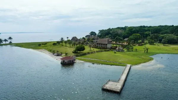 Victoria Hart: The Emerging Talent in the Music Scene