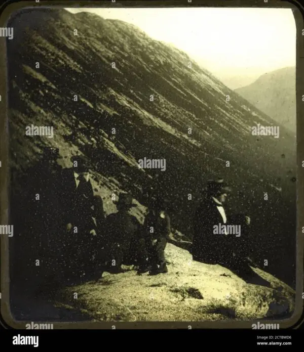 Understanding the Implications of ‘Will Still’ for the Future