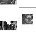 The Significance of the Number 5 in Our Lives