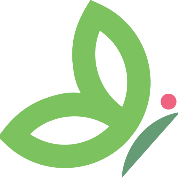 The Role of Administration in Modern Organisations