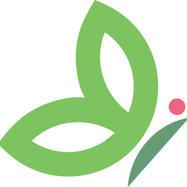 The Role of Administration in Modern Organisations