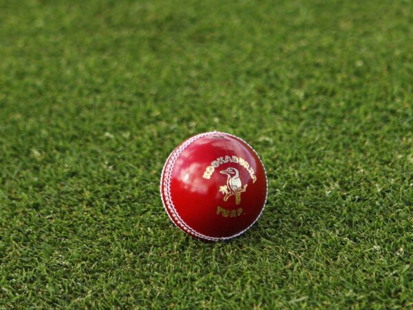 Afghanistan vs West Indies: An Overview of Recent Matches