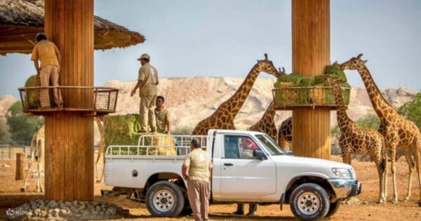 The Importance of Ain in Cultural Contexts