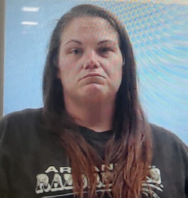 The Multifaceted Career of Ashley James