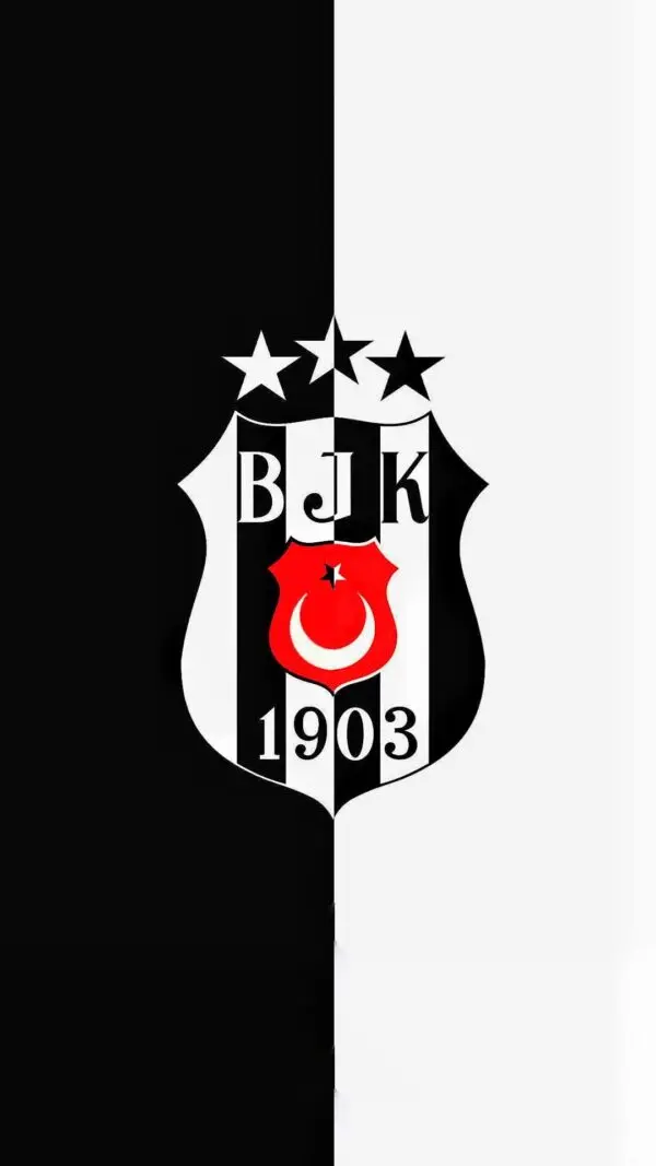 Exploring the Legacy of Besiktas Football Club