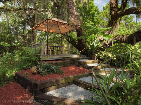 BP: Leading the Charge in Sustainable Energy Transition