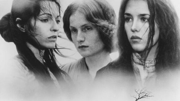 The Legacy of the Bronte Sisters: Pioneers of English Literature