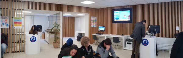 Understanding the Importance of Central African Forests (CAF)