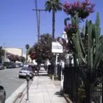 California: The Golden State of Innovation and Diversity