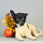 Exploring the Wonders of Colorado: Nature and Culture