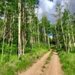 A Tour Through Colorado’s Natural Landscapes and Culture