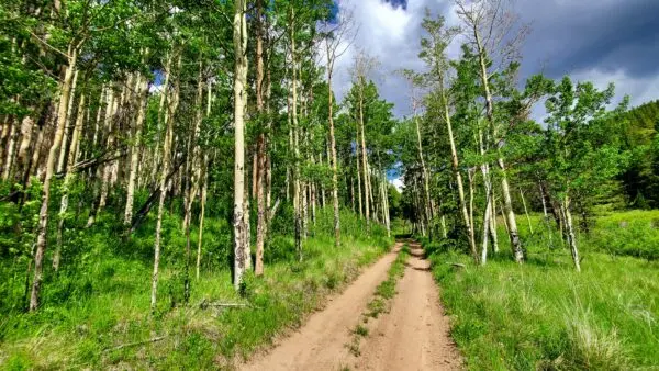 A Tour Through Colorado’s Natural Landscapes and Culture