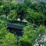 Crystal Palace FC: Recent Developments and Future Prospects