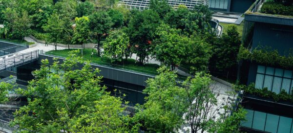 Crystal Palace FC: Recent Developments and Future Prospects