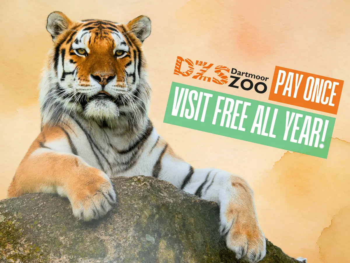 Exploring Dartmoor Zoo: A Hub for Conservation and Education