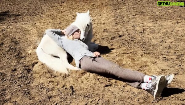 Daryl Hannah: An Overview of Her Life and Activism