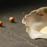 Das perfekte Dinner: Die Kunst der perfekten Gastgeber