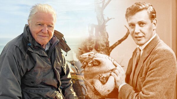The Enduring Legacy of David Attenborough