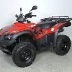 Understanding the Growing Importance of Delivery Services