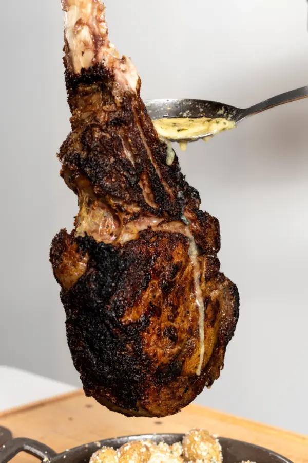 Understanding the Importance of Quality Dog Food