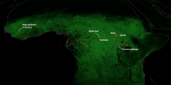 Understanding the Current Status of Ebola Outbreaks Worldwide
