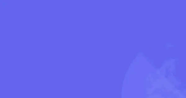 EcoJet Airlines Faces Liquidation: Liquidators Appointed