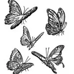 Eisbär: Championing Sustainability in Fashion