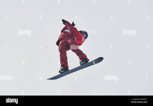 Elizabeth Hosking: A Rising Star in Literature