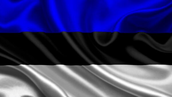 Estonia: A Pioneer in Digital Transformation