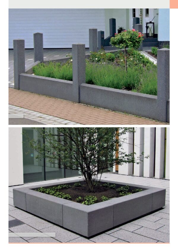 The Transformative Role of Future Communication Networks (FCN)