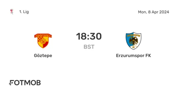 Fenerbahçe vs Erzurumspor: A Clash of Determination