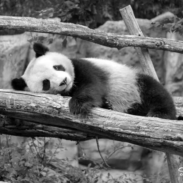 The Importance of Free Trade Policies in Today’s Economy