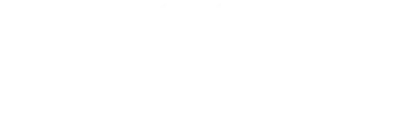 Understanding the Importance of Gala Events