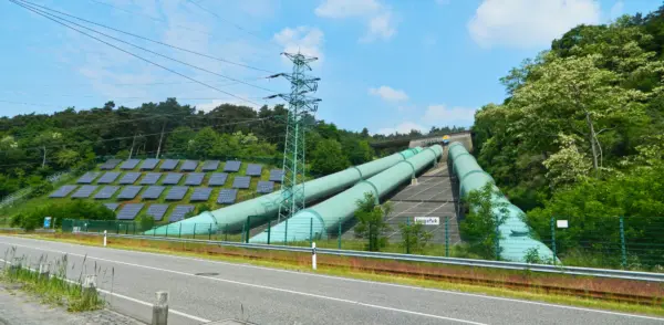 Discovering Geesthacht: A Thriving Community Near Hamburg