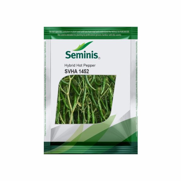 Navigating Change: General Motors’ Innovations and Challenges