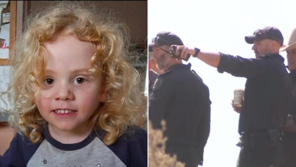 Gus Lamont: Transforming Sports Management