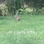 The Importance of Saying Hello in Daily Life