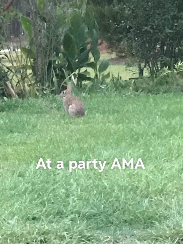 The Importance of Saying Hello in Daily Life