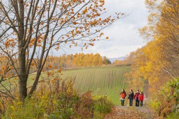 Exploring the Wonders of Hokkaido, Japan