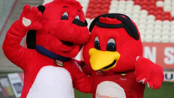 Hull KR: A Rising Force in Rugby League