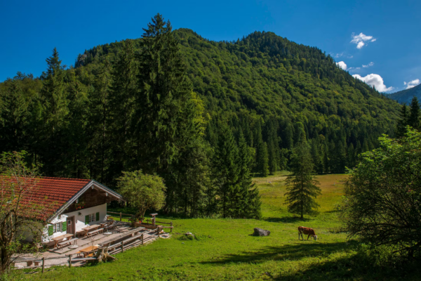 Exploring Inzell: The Heart of Bavarian Winter Sports