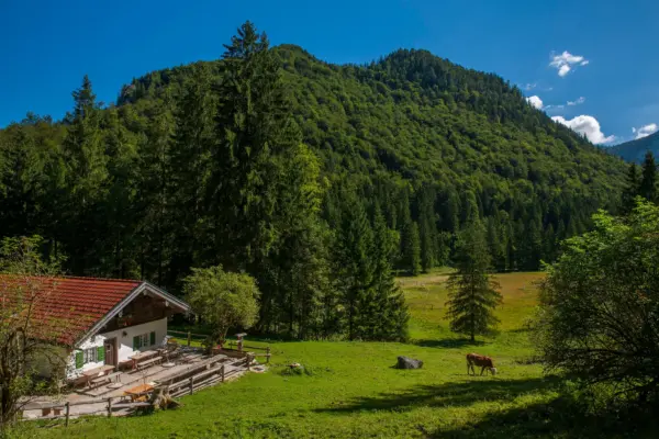 Exploring Inzell: The Heart of Bavarian Winter Sports