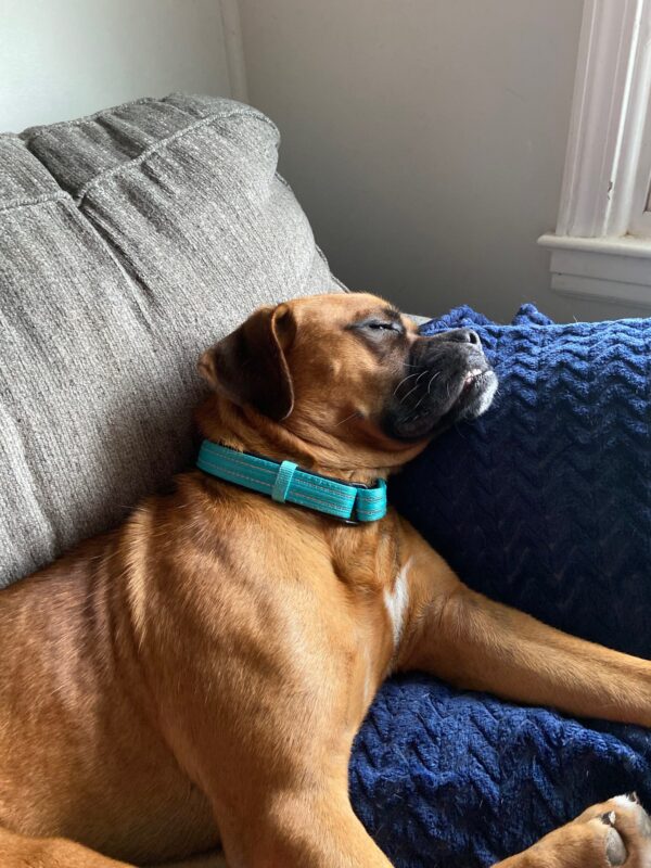 Jack Turner: The Rising Star in Boxing