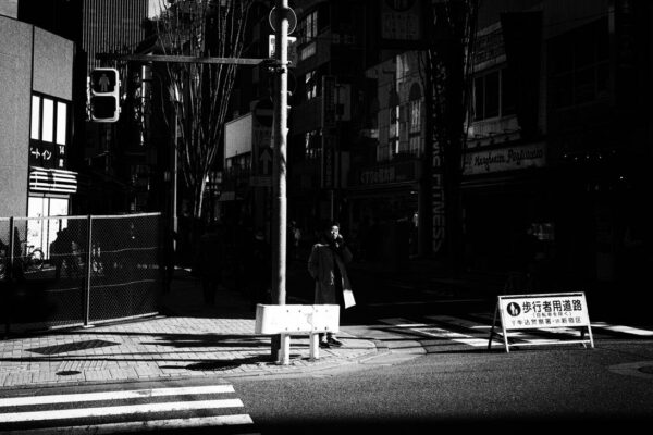 Discovering Japan: Cultural Heritage and Modern Innovations