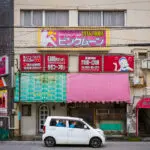 Insights into the Japanese Election Results 2023