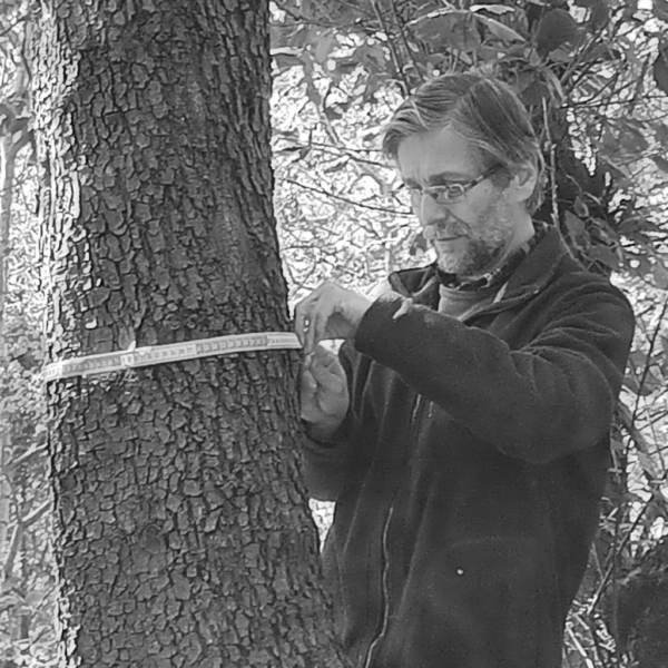 Understanding John Healey’s Role in Contemporary Politics