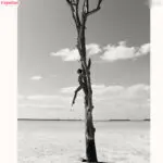 The Journey of Juliane Seyfarth: A Rising Star